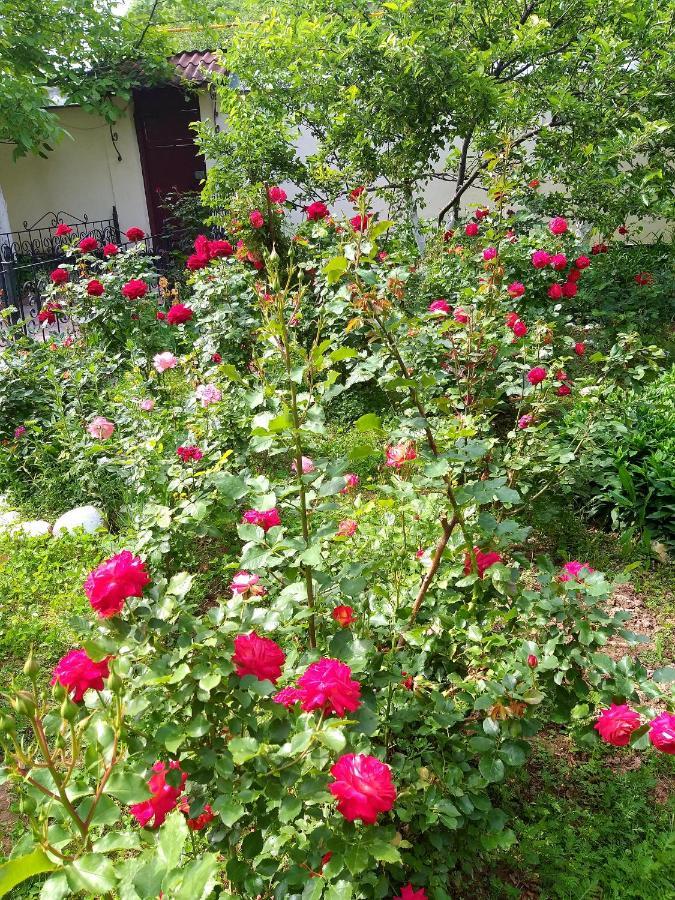 Shymhostle Hostel Shymkent Exterior photo